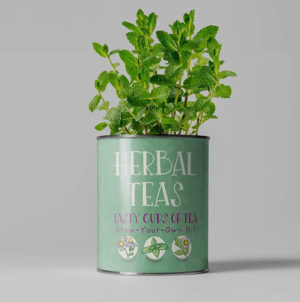 Grown your own herbal teas